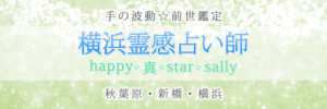 横浜・秋葉原・新橋 横浜霊感占い師 happy 真 star sally 波動☆前世鑑定